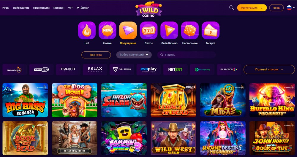 iWild Casino